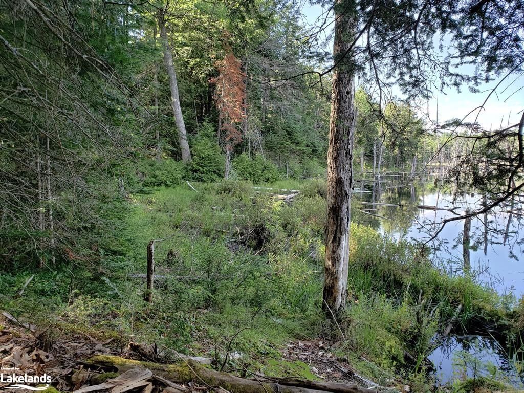 Photo 8 of PART LOT 27 Concession 1, McKellar — HOMEH