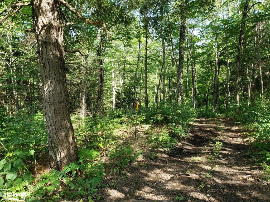 Photo 9 of PART LOT 27 Concession 1, McKellar — HOMEH
