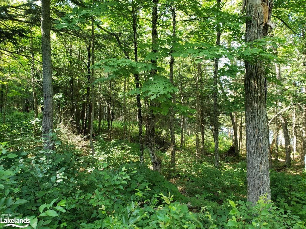 Photo 10 of PART LOT 27 Concession 1, McKellar — HOMEH