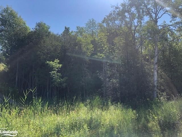Photo 2 of PT LOT 15 Elder Lane, Chatsworth — HOMEH