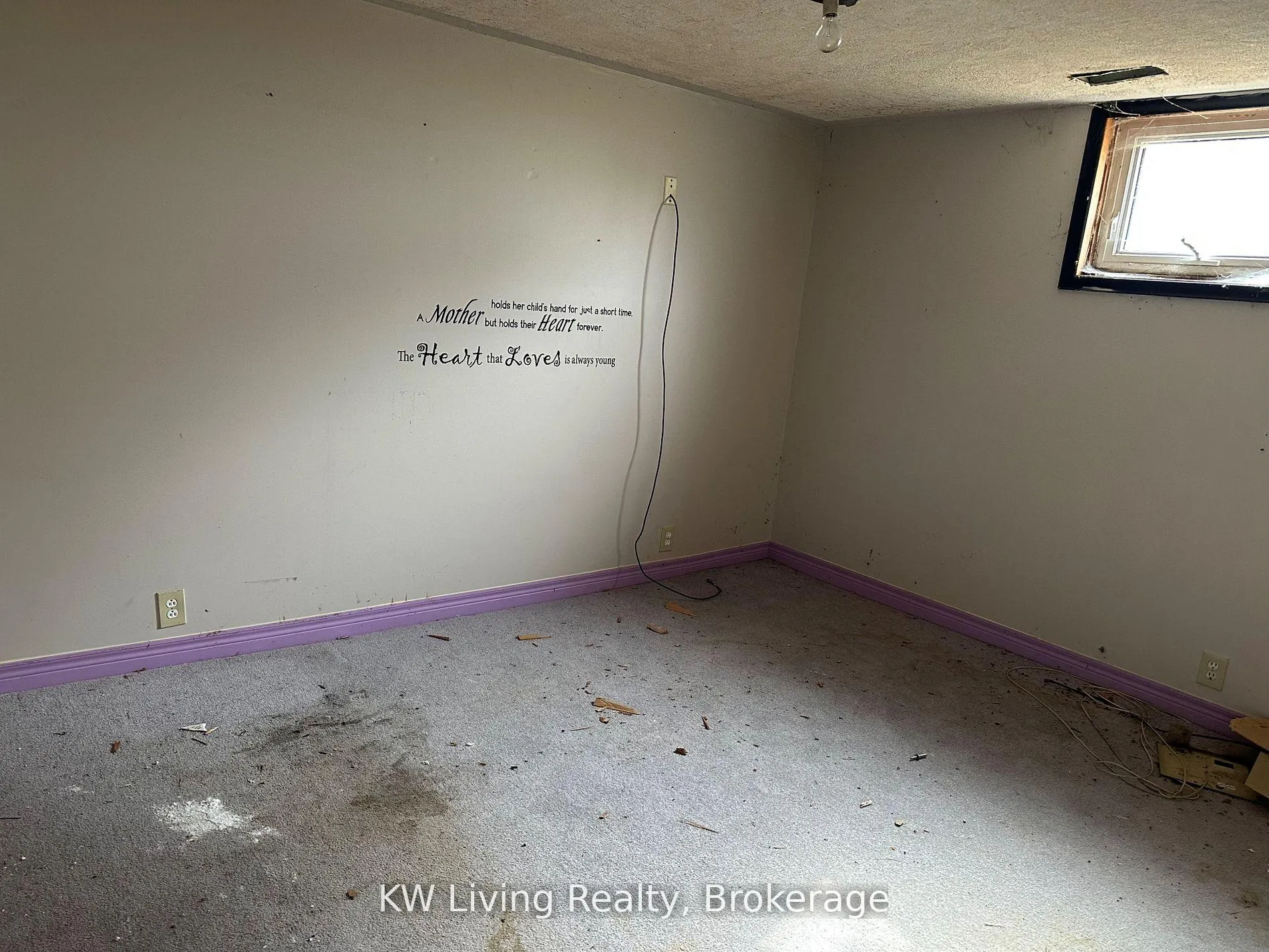 Photo 9 of 50 Cardwell Street, Caledon, Alton — HOMEH