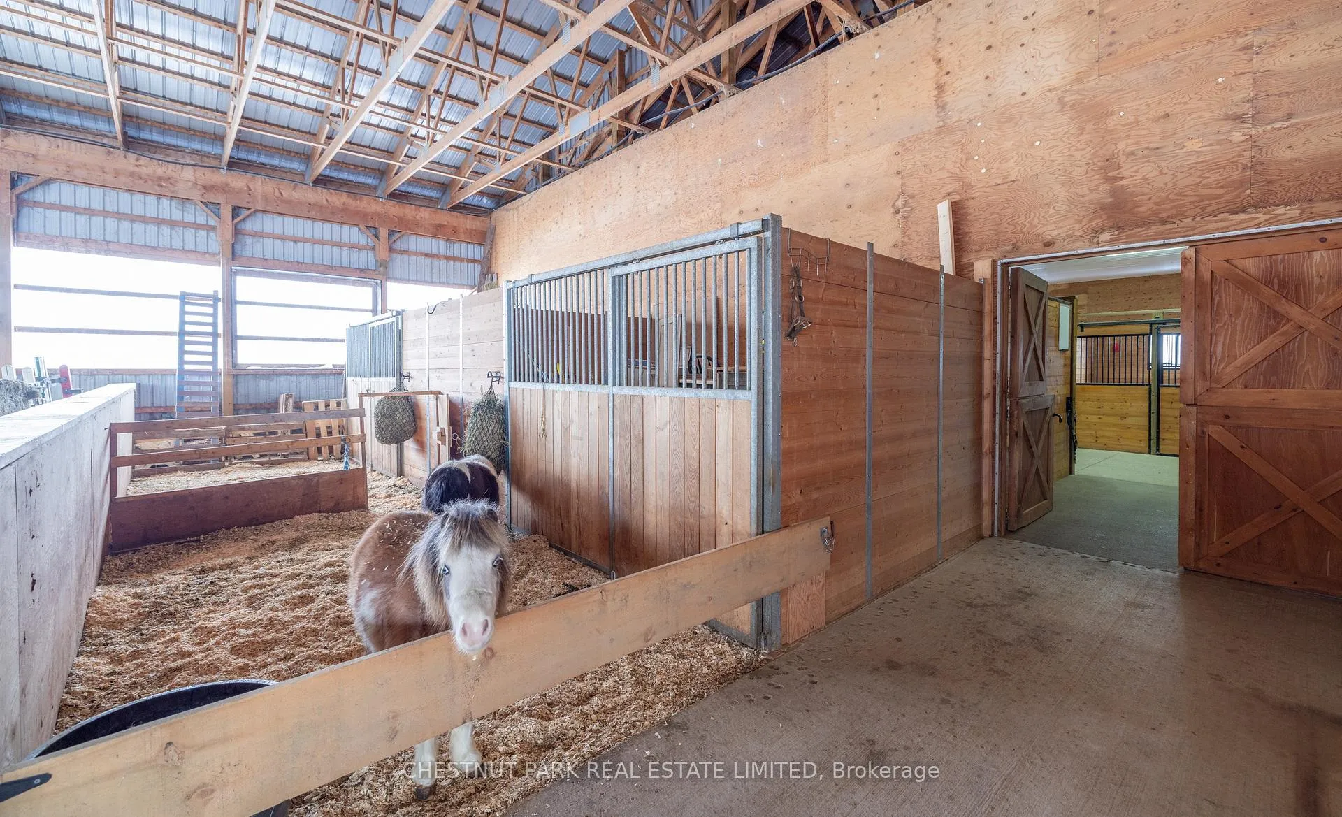 Photo 7 of 436527 4th Line, Melancthon, Rural Melancthon — HOMEH