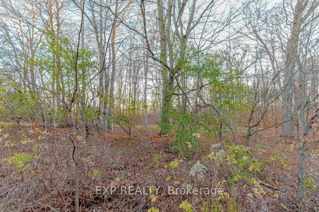 Photo 4 of 77 Woodedge Circle, Kitchener, Huron Park — HOMEH