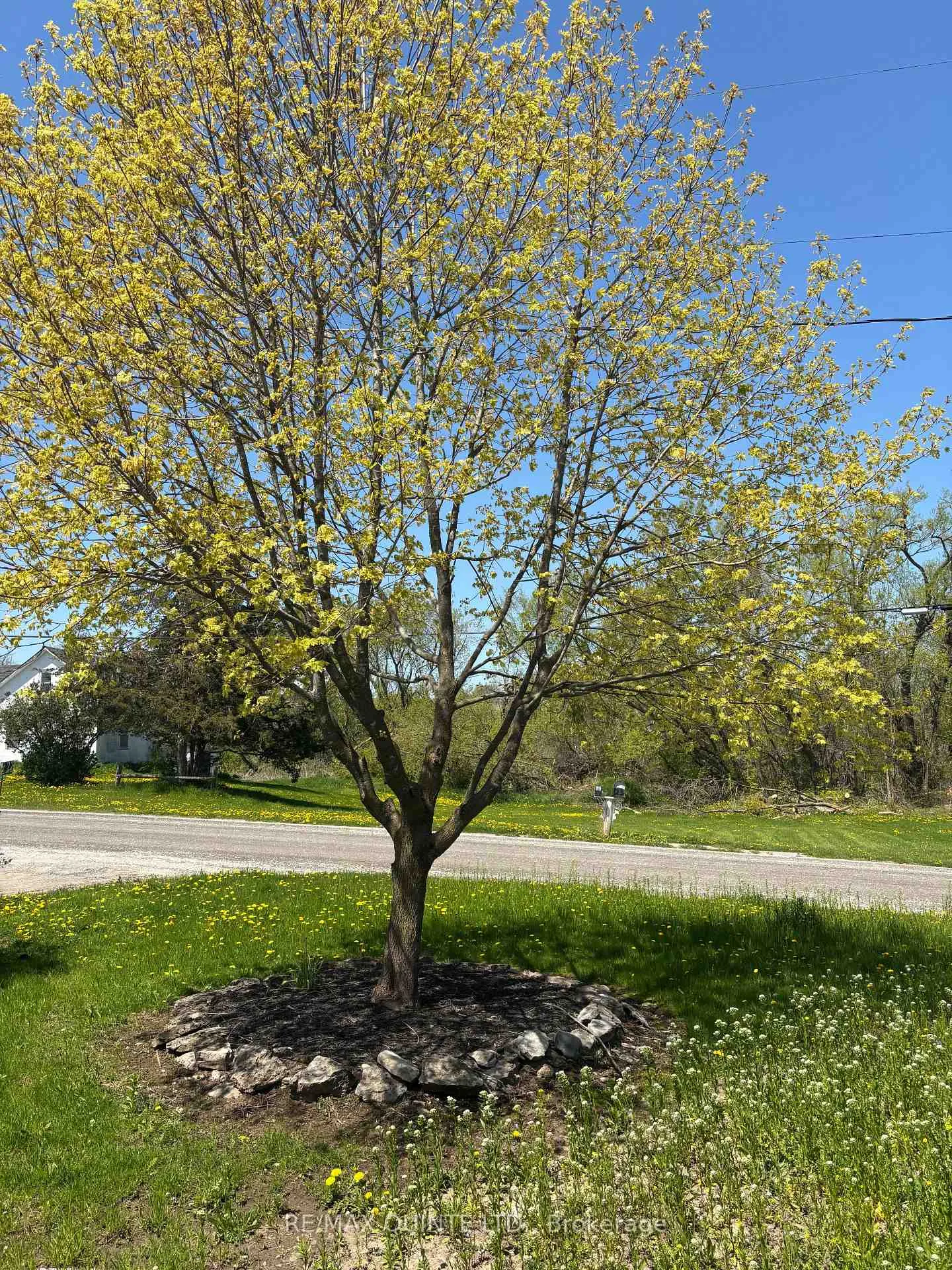 Photo 24 of 22 Pauley Road, Stirling-Rawdon — HOMEH