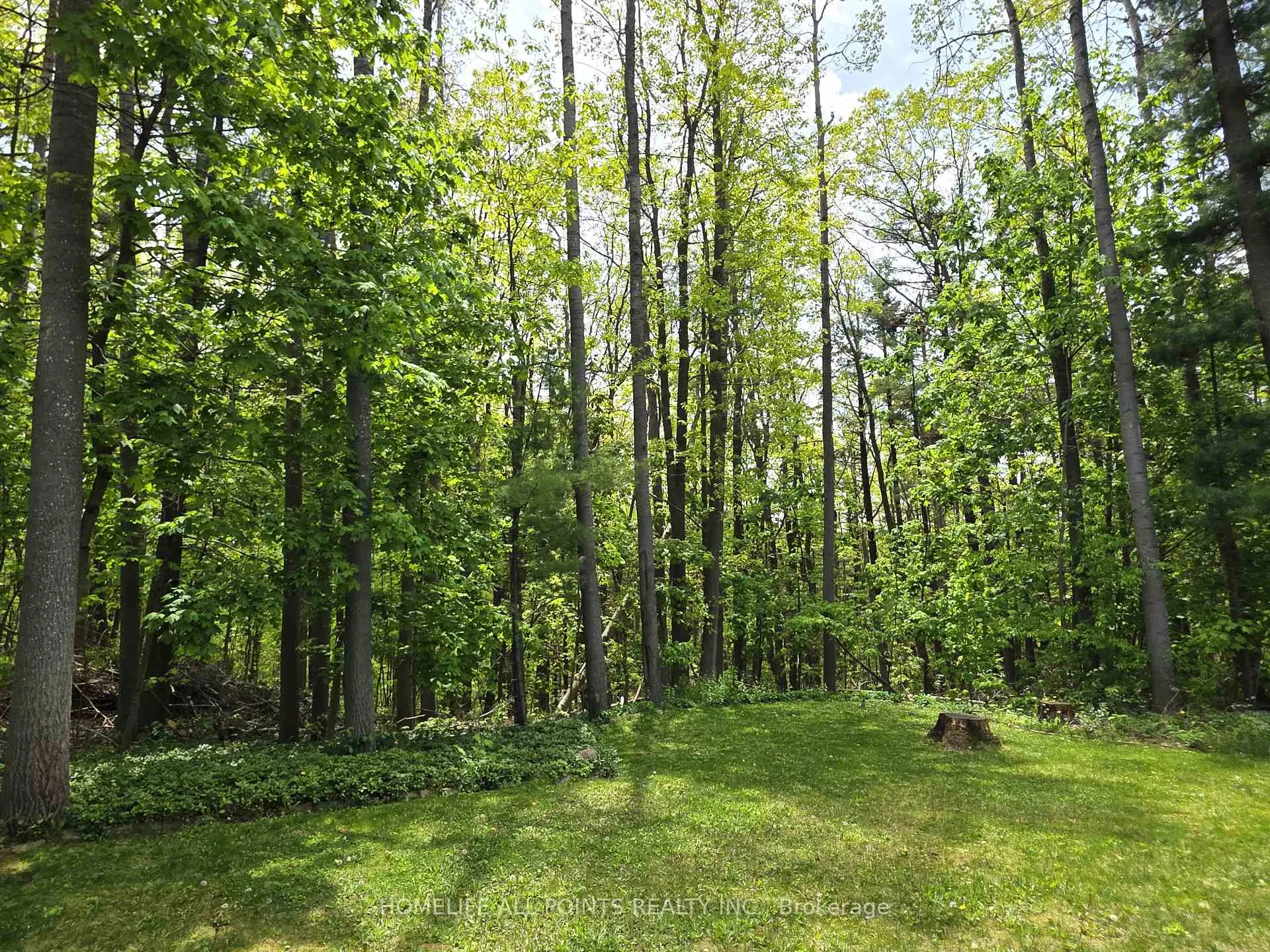 Photo 35 of 9 Hailey Hollow, Barrie, Letitia Heights — HOMEH