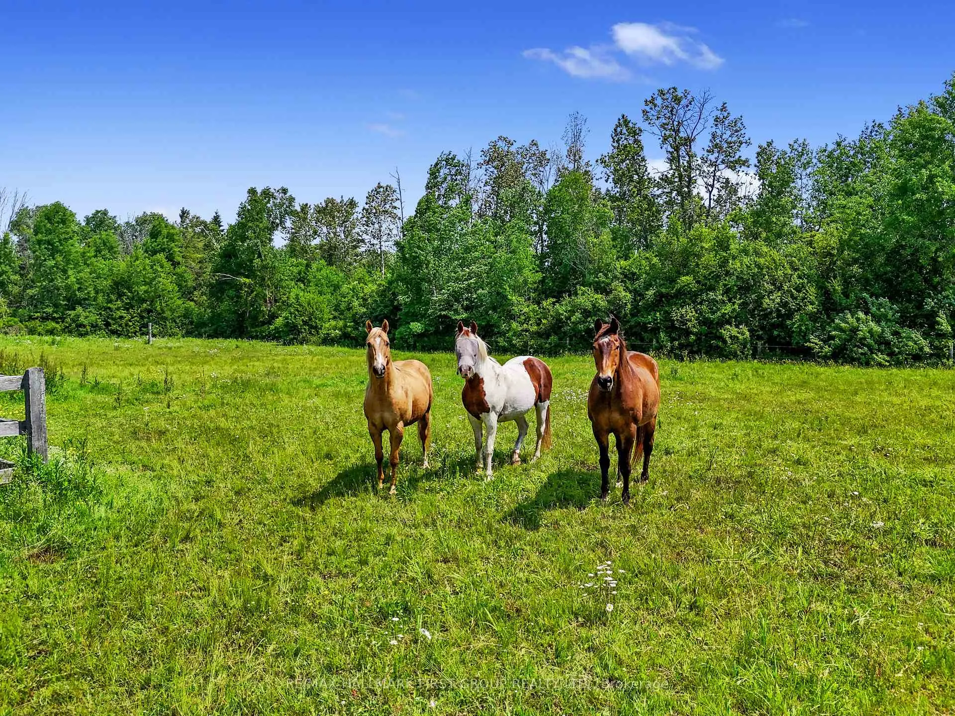 Photo 28 of 13715 County 2 Road, Cramahe, Rural Cramahe — HOMEH