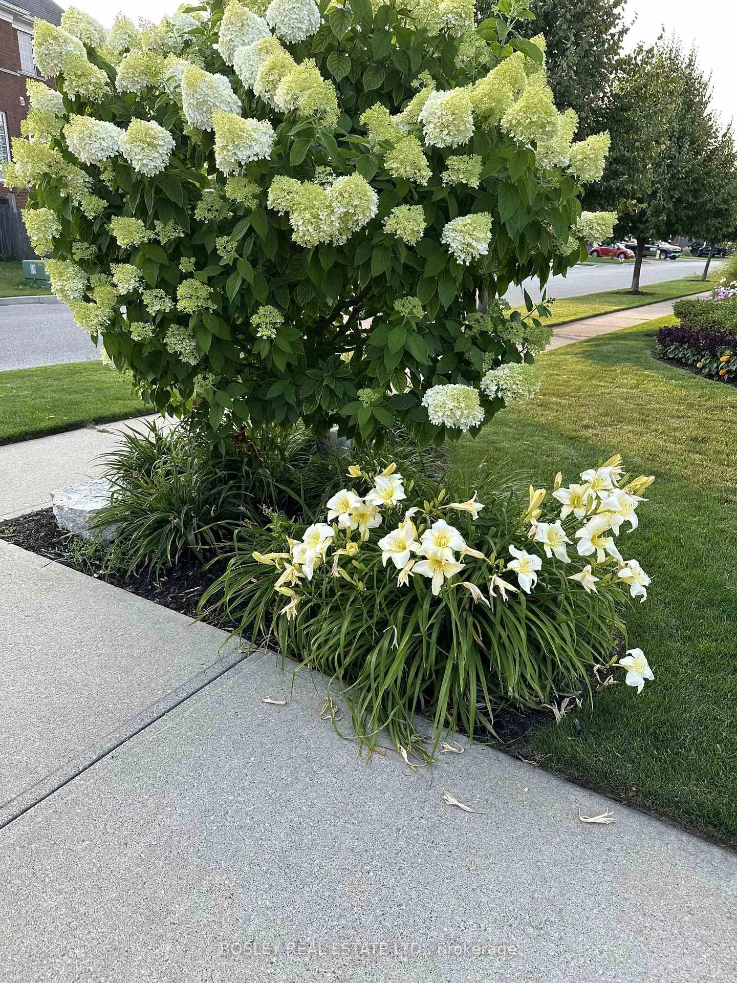 Photo 39 of 1793 Badgley Drive, Oshawa, Taunton — HOMEH