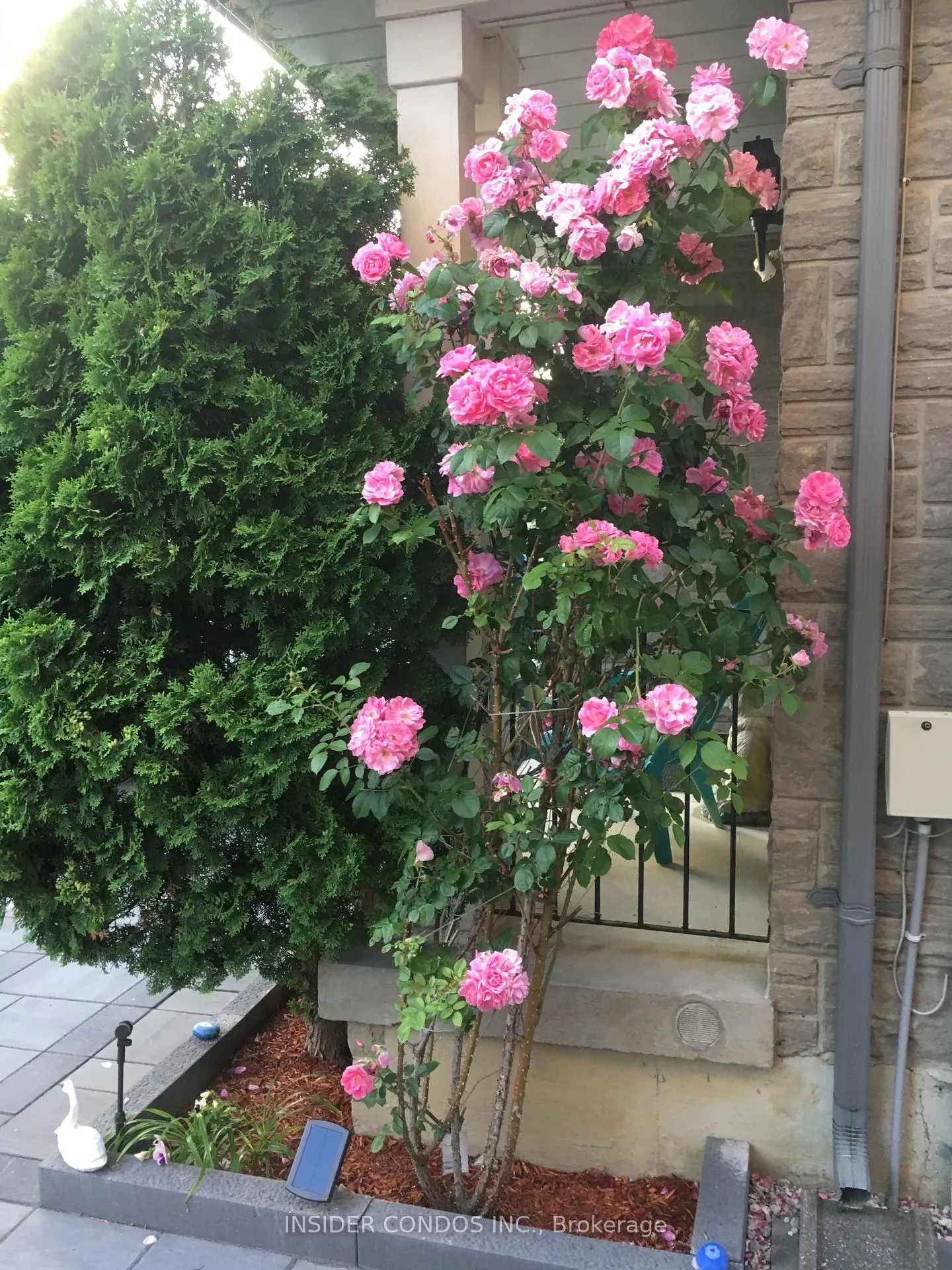 Photo 24 of 126 Pinedale Gate, Vaughan, East Woodbridge — HOMEH