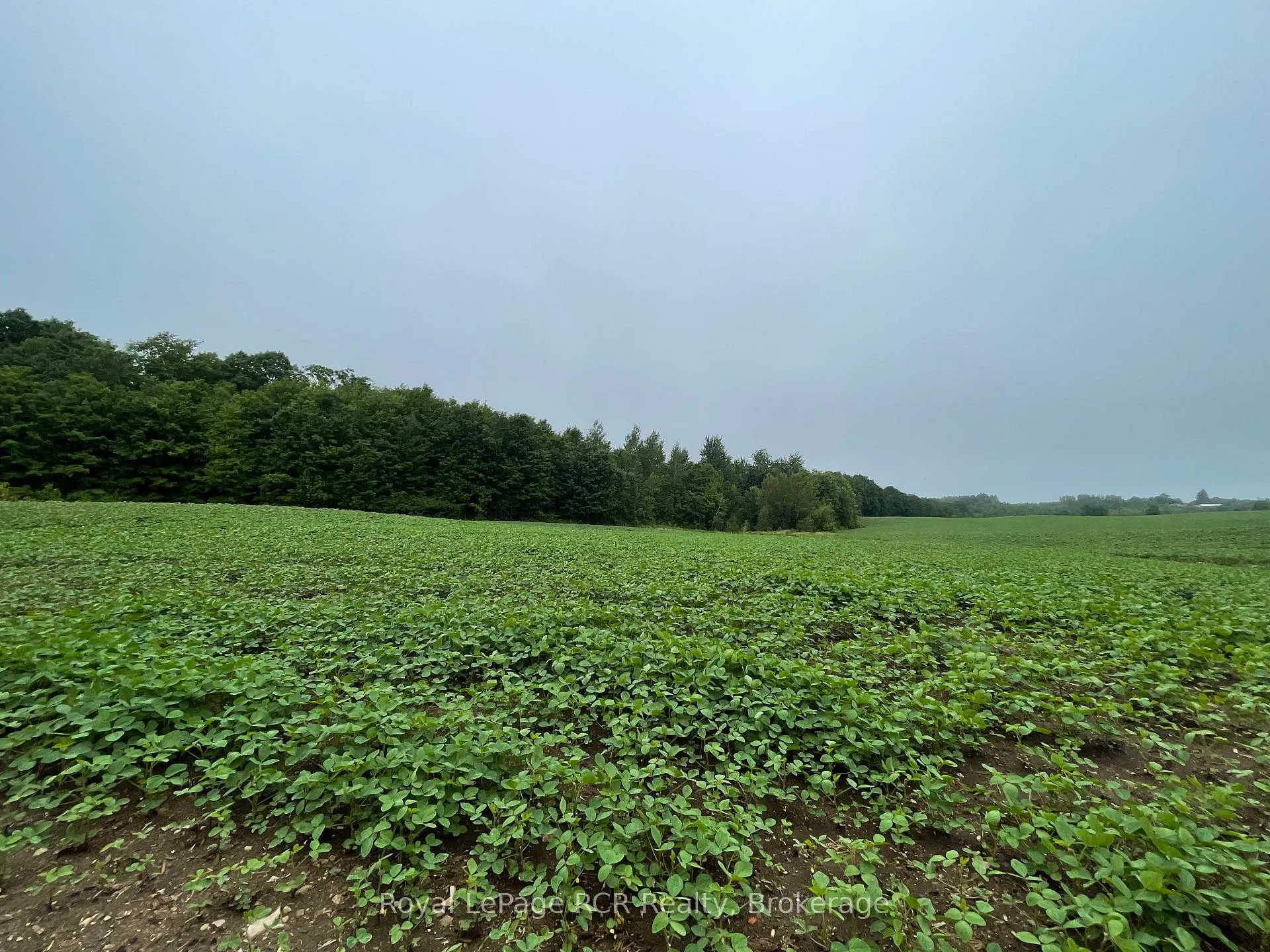 Photo 1 of 714261 Baseline Road, Grey Highlands — HOMEH