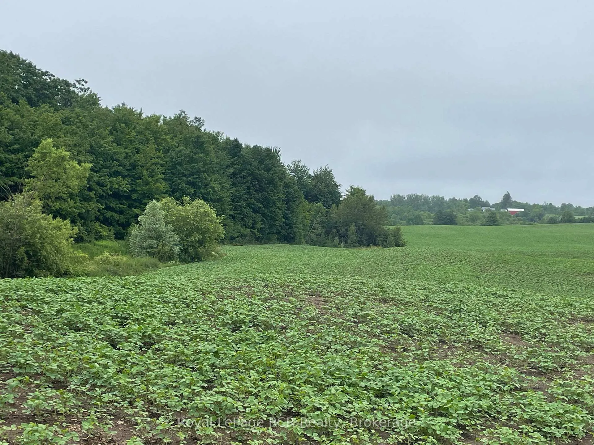 Photo 2 of 714261 Baseline Road, Grey Highlands — HOMEH