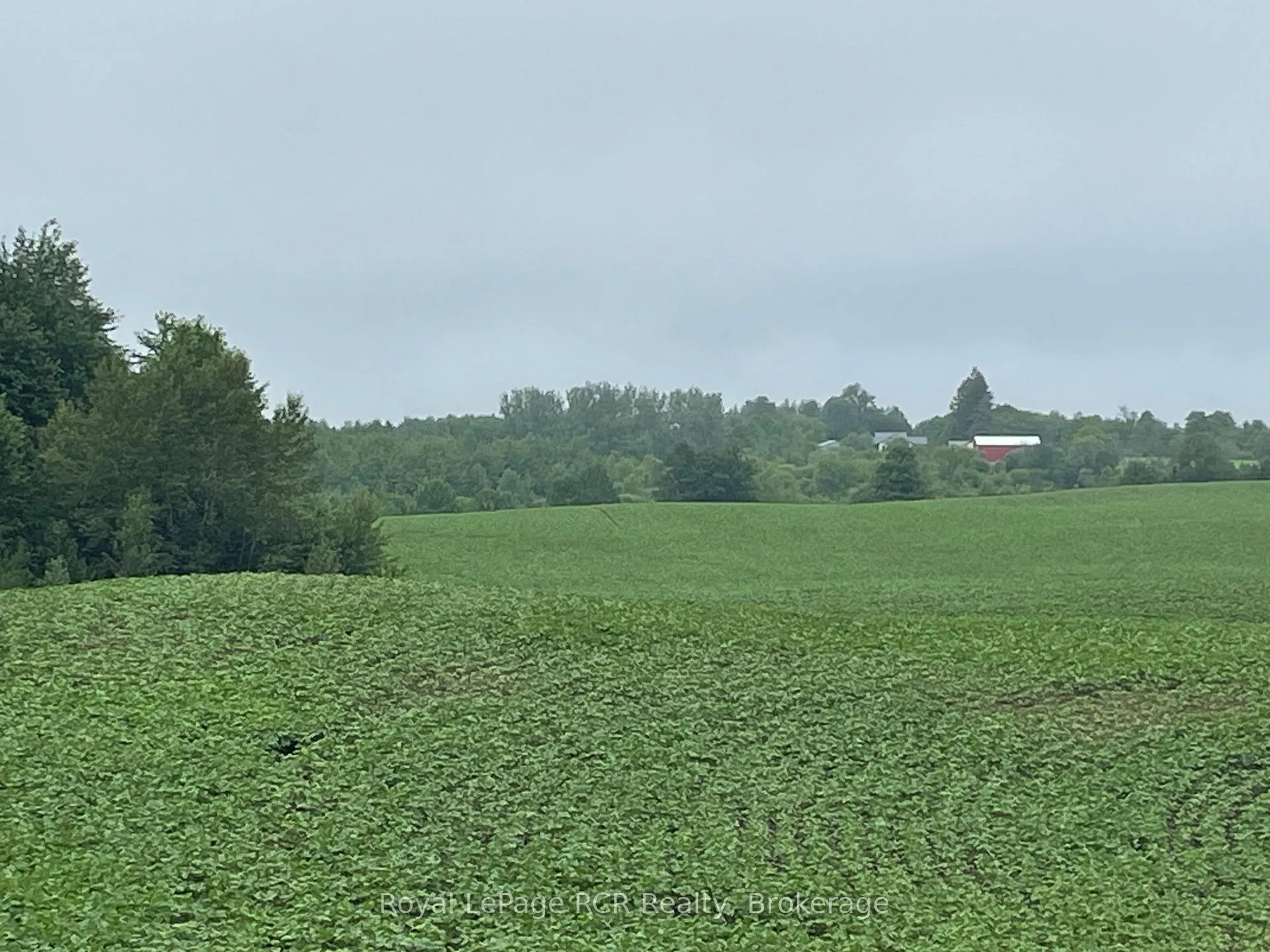 Photo 3 of 714261 Baseline Road, Grey Highlands — HOMEH