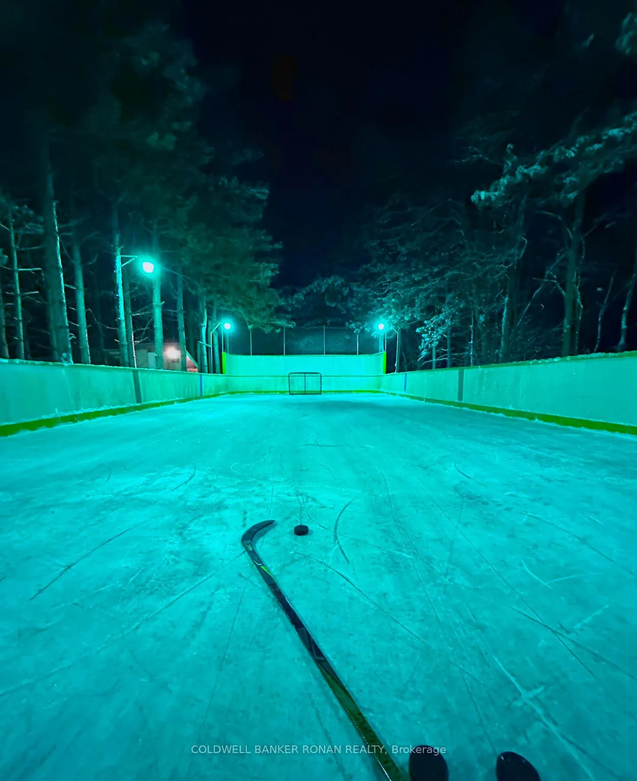 Photo 37 of 16 Indiana Drive, Caledon, Palgrave — HOMEH