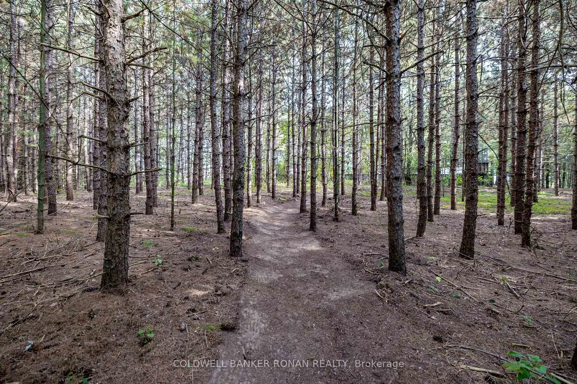 Photo 41 of 16 Indiana Drive, Caledon, Palgrave — HOMEH