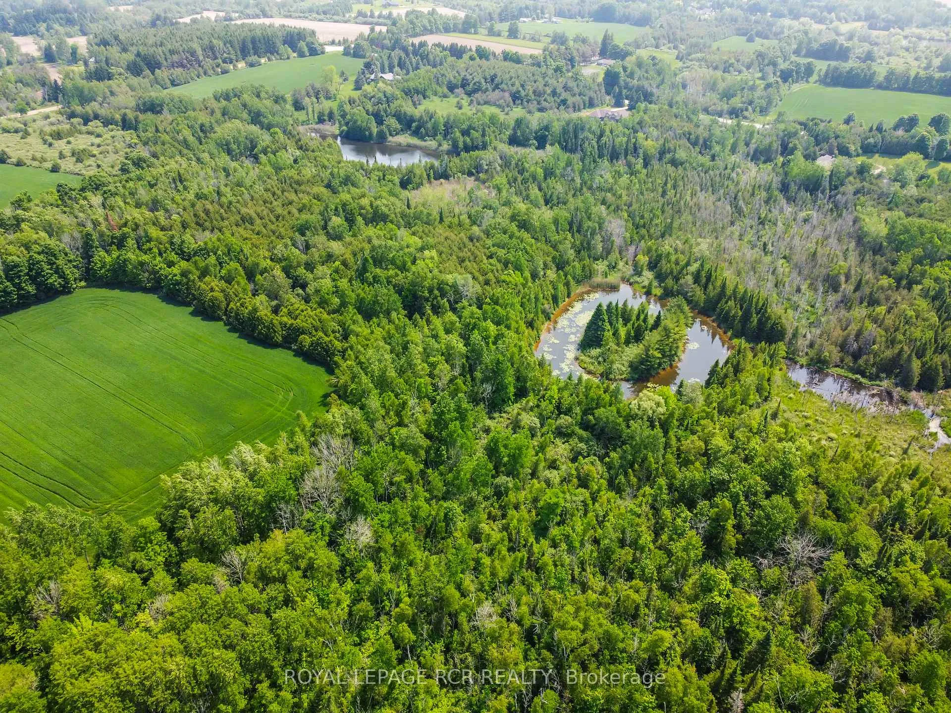 Photo 41 of 19455 Shaws Creek Road, Caledon, Rural Caledon — HOMEH