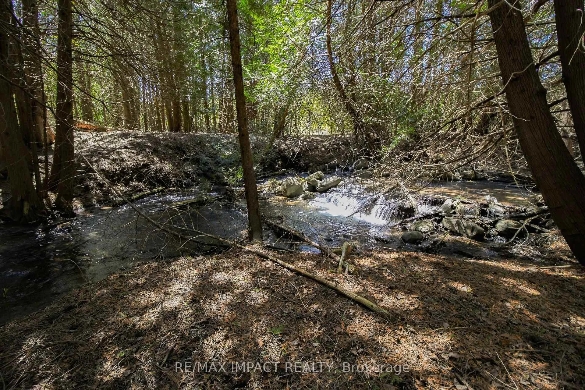 Photo 10 of 215 Raglan Road W, Oshawa, Rural Oshawa — HOMEH