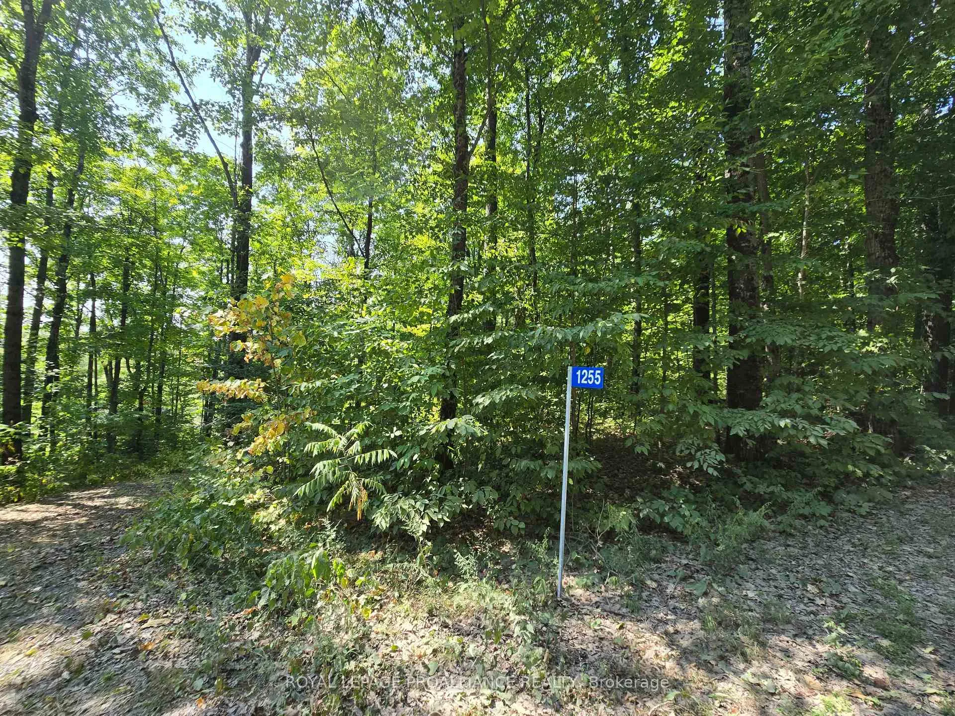 Front of 1255 Blue Heron Ridge