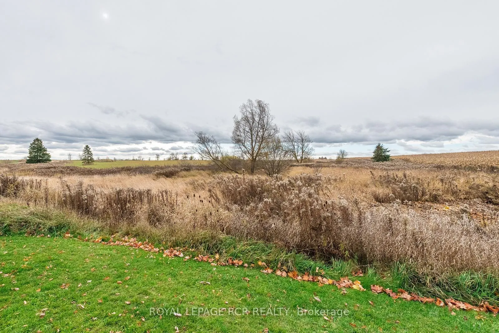 Photo 41 of 15 James Street, Amaranth, Rural Amaranth — HOMEH