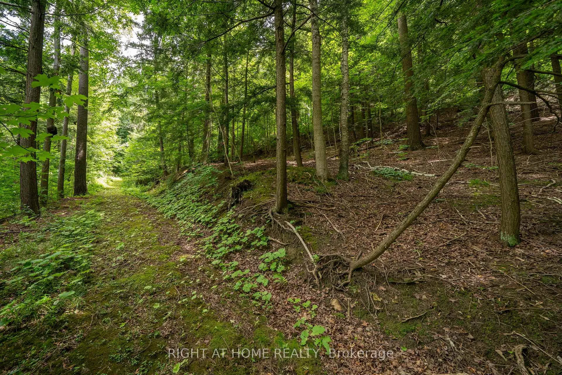 Photo 17 of 28 Klein's Ridge, Vaughan, Kleinburg — HOMEH