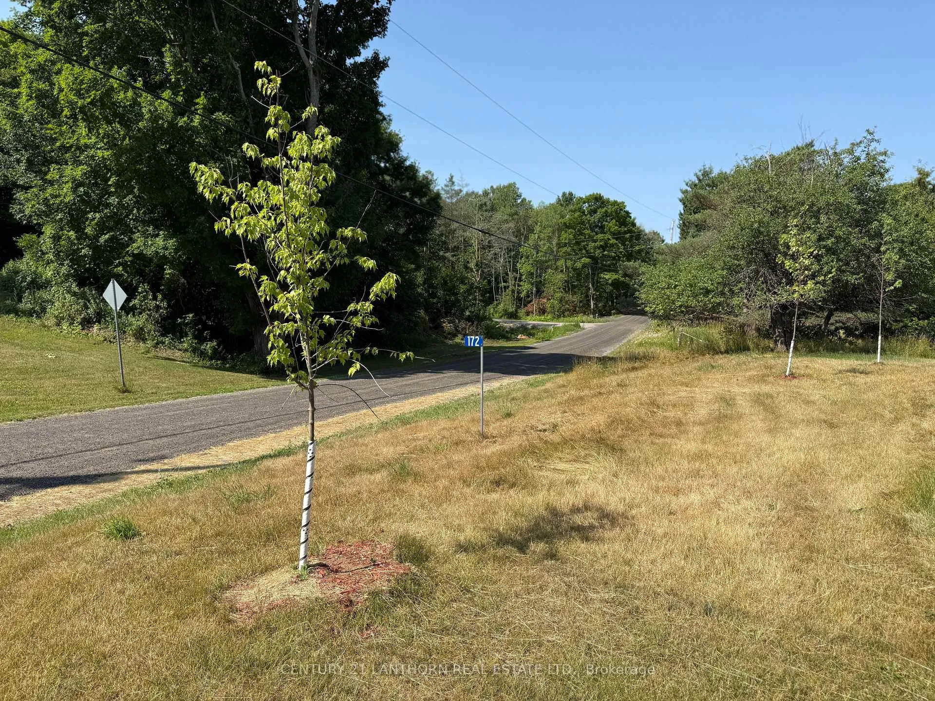 Photo 36 of 172 Black River Road, Tweed, Elzevir (Twp) — HOMEH