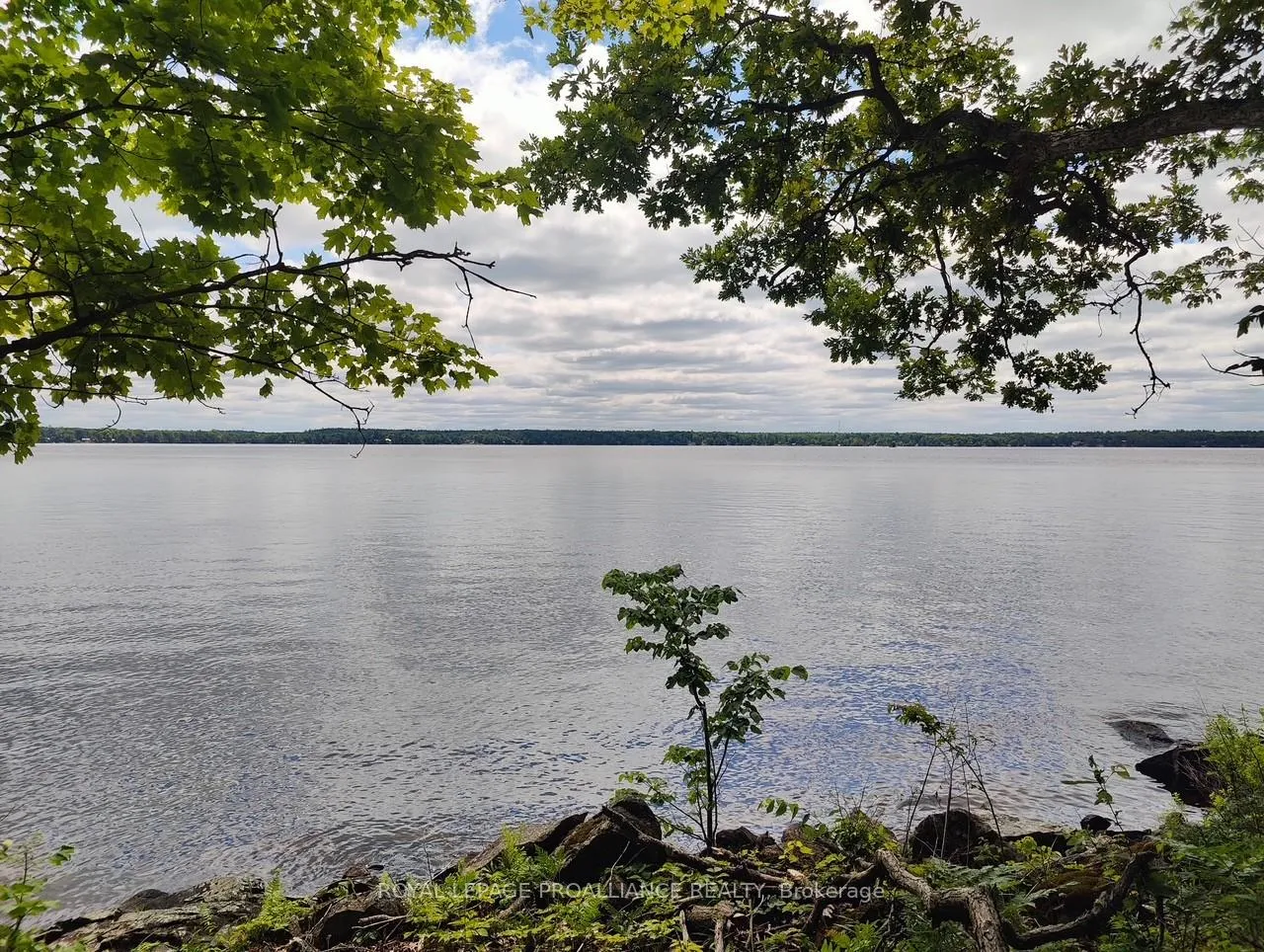 Photo of 621B Cook Road