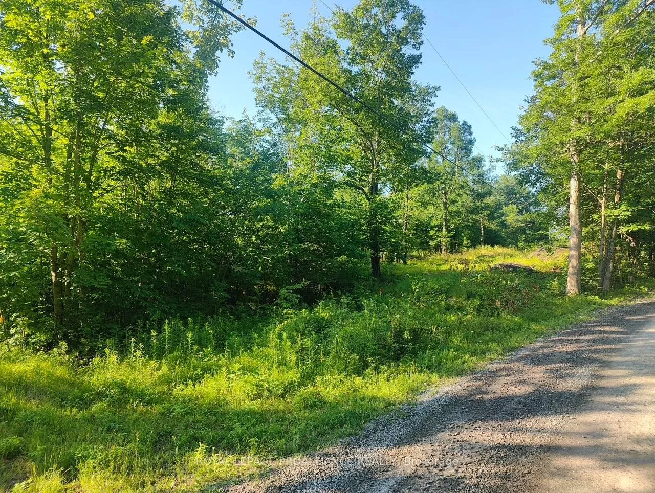 Photo 3 of 621B Cook Road, Marmora and Lake, Marmora Ward — HOMEH