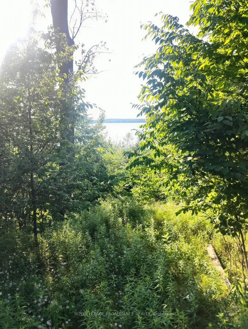 Photo 5 of 621B Cook Road, Marmora and Lake, Marmora Ward — HOMEH