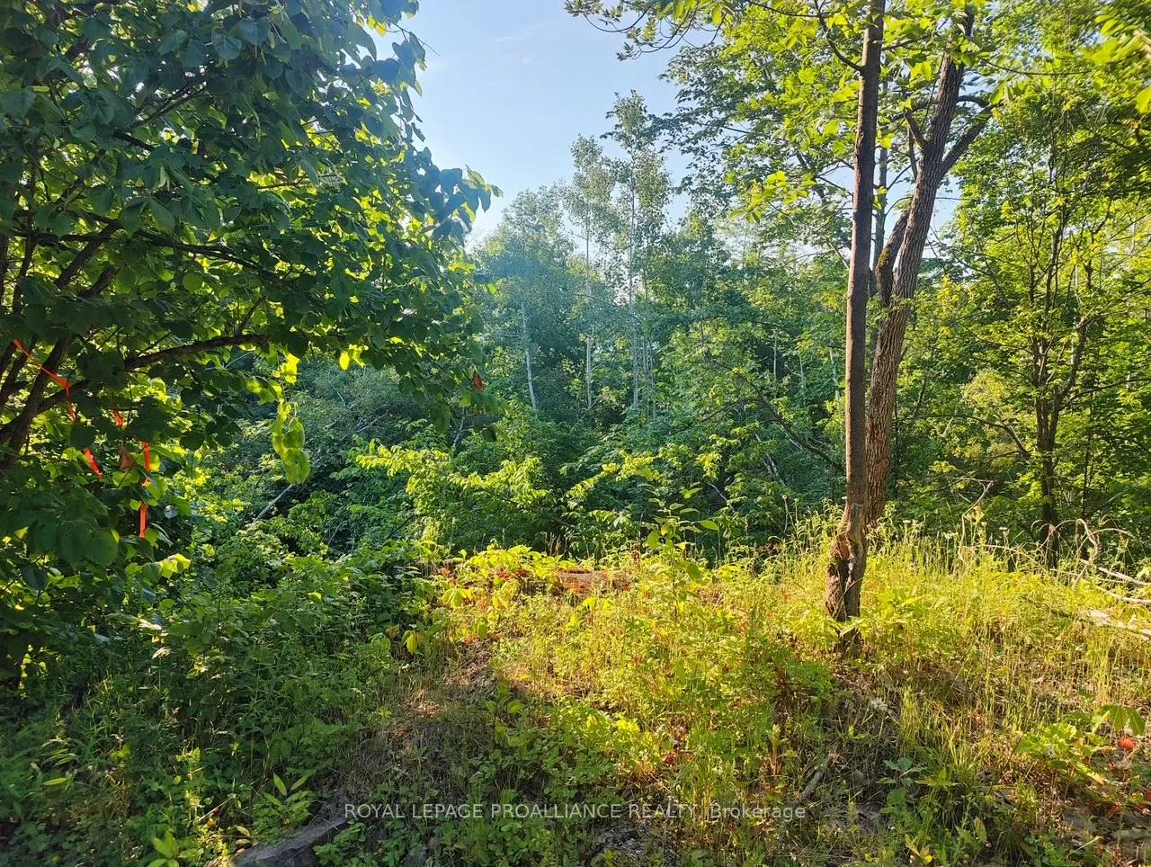 Photo 9 of 621B Cook Road, Marmora and Lake, Marmora Ward — HOMEH