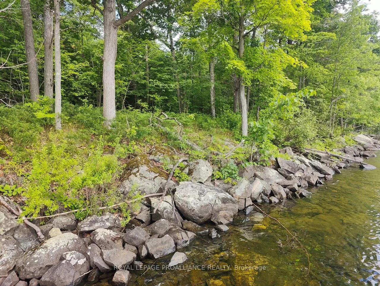 Photo 3 of 621A Cook Road, Marmora and Lake, Lake Ward — HOMEH