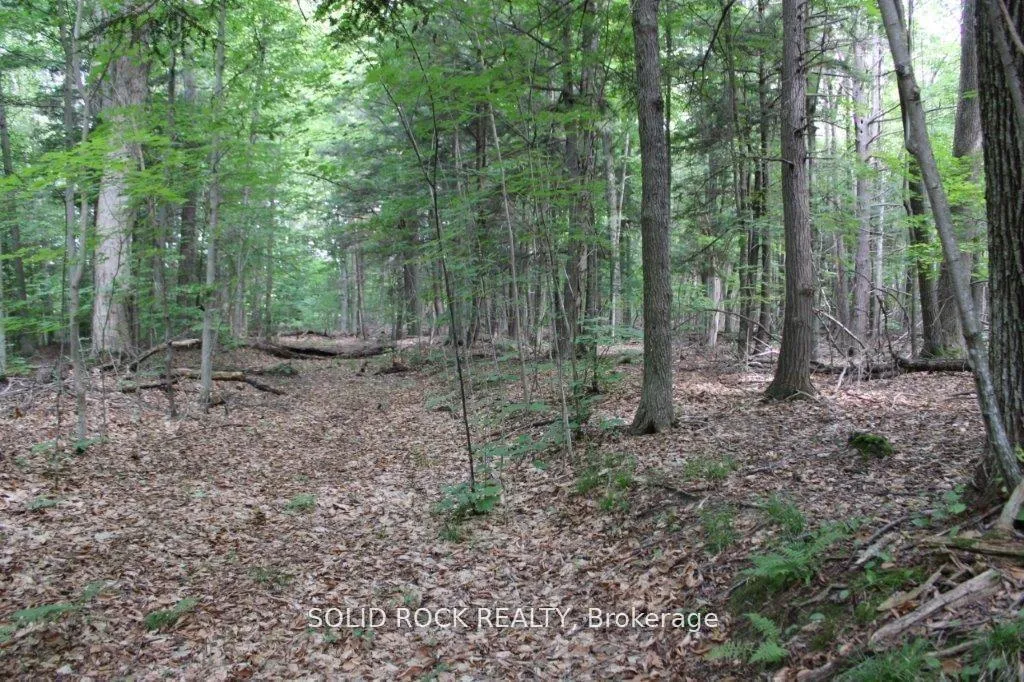 Photo 11 of 2209 Jochem Road, Edwardsburgh/Cardinal, Edwardsburgh/Cardinal Twp — HOMEH