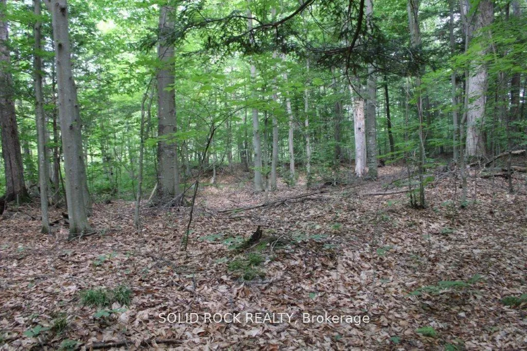 Photo 12 of 2209 Jochem Road, Edwardsburgh/Cardinal, Edwardsburgh/Cardinal Twp — HOMEH