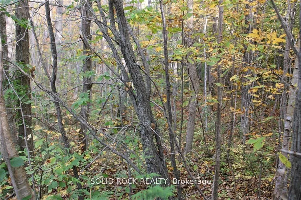 Photo 13 of 2209 Jochem Road, Edwardsburgh/Cardinal, Edwardsburgh/Cardinal Twp — HOMEH