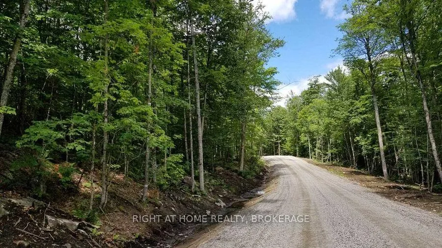 Photo 5 of 273C Clam Lake Road, Kearney — HOMEH