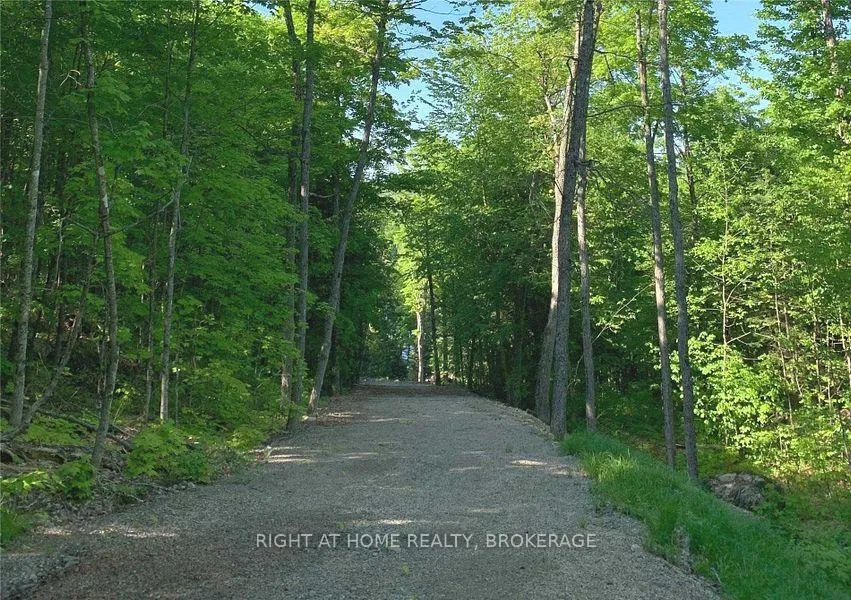 Photo 8 of 273C Clam Lake Road, Kearney — HOMEH