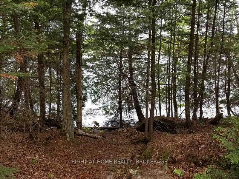 Photo 10 of 273C Clam Lake Road, Kearney — HOMEH