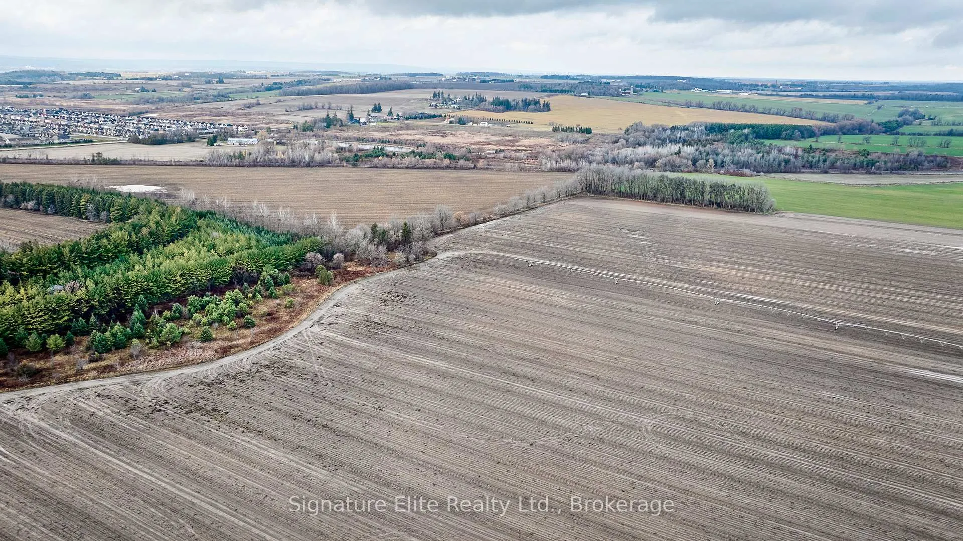 Photo 50 of 58 John W Taylor Avenue, New Tecumseth, Alliston — HOMEH