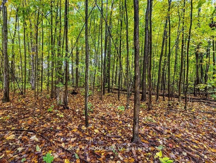 Photo 9 of LOT 25 Voyageur Drive, Tiny, Rural Tiny — HOMEH