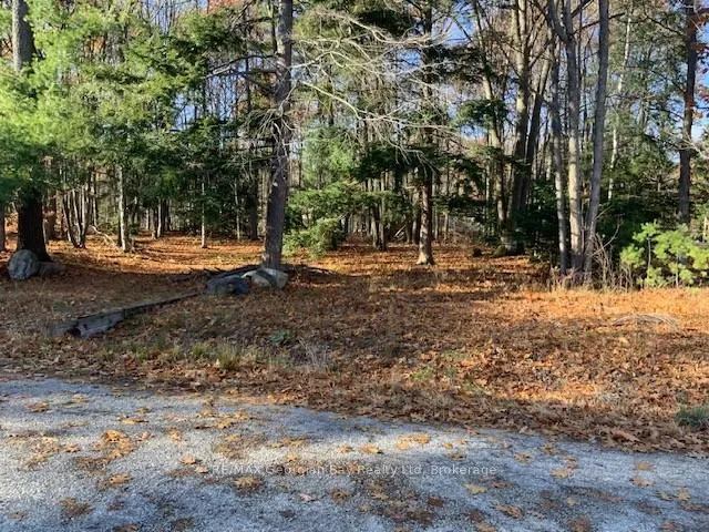 Photo 3 of Lot 659 Wolfe Trail NW, Tiny, Rural Tiny — HOMEH