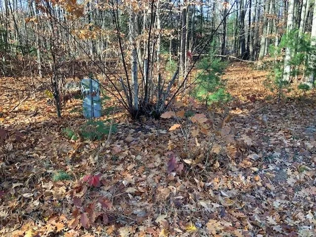 Photo 6 of Lot 659 Wolfe Trail NW, Tiny, Rural Tiny — HOMEH
