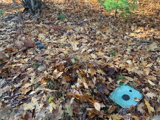Photo 7 of Lot 659 Wolfe Trail NW, Tiny, Rural Tiny — HOMEH