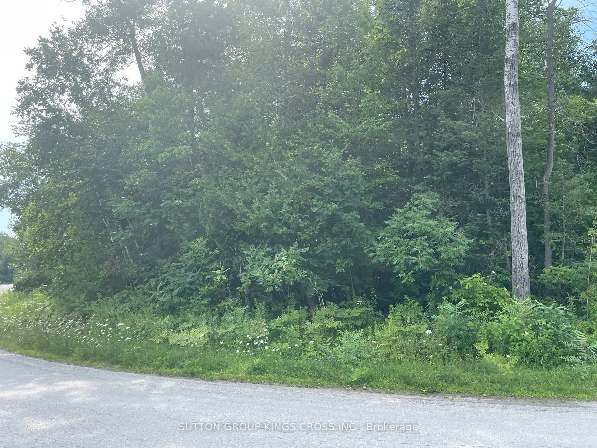 Photo 6 of 30 Spruce Street, Tiny, Rural Tiny — HOMEH
