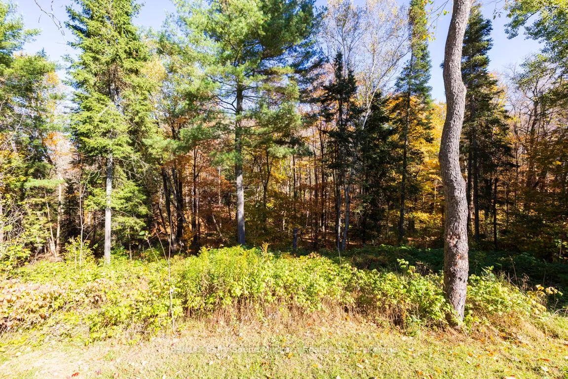 Photo 41 of 312 Centre Road, McKellar — HOMEH