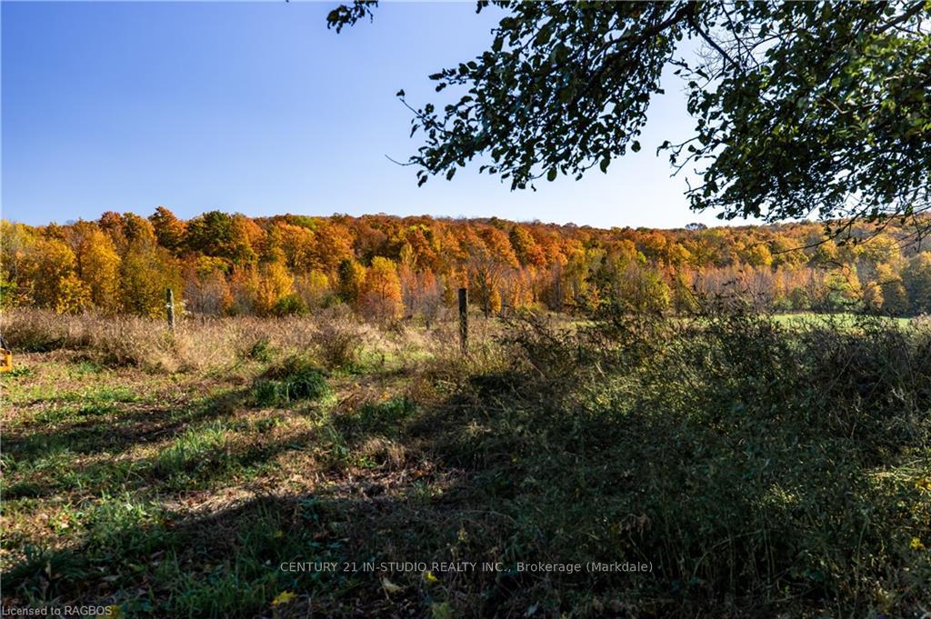 Photo 46 of 602446 Sideroad 8, Chatsworth — HOMEH
