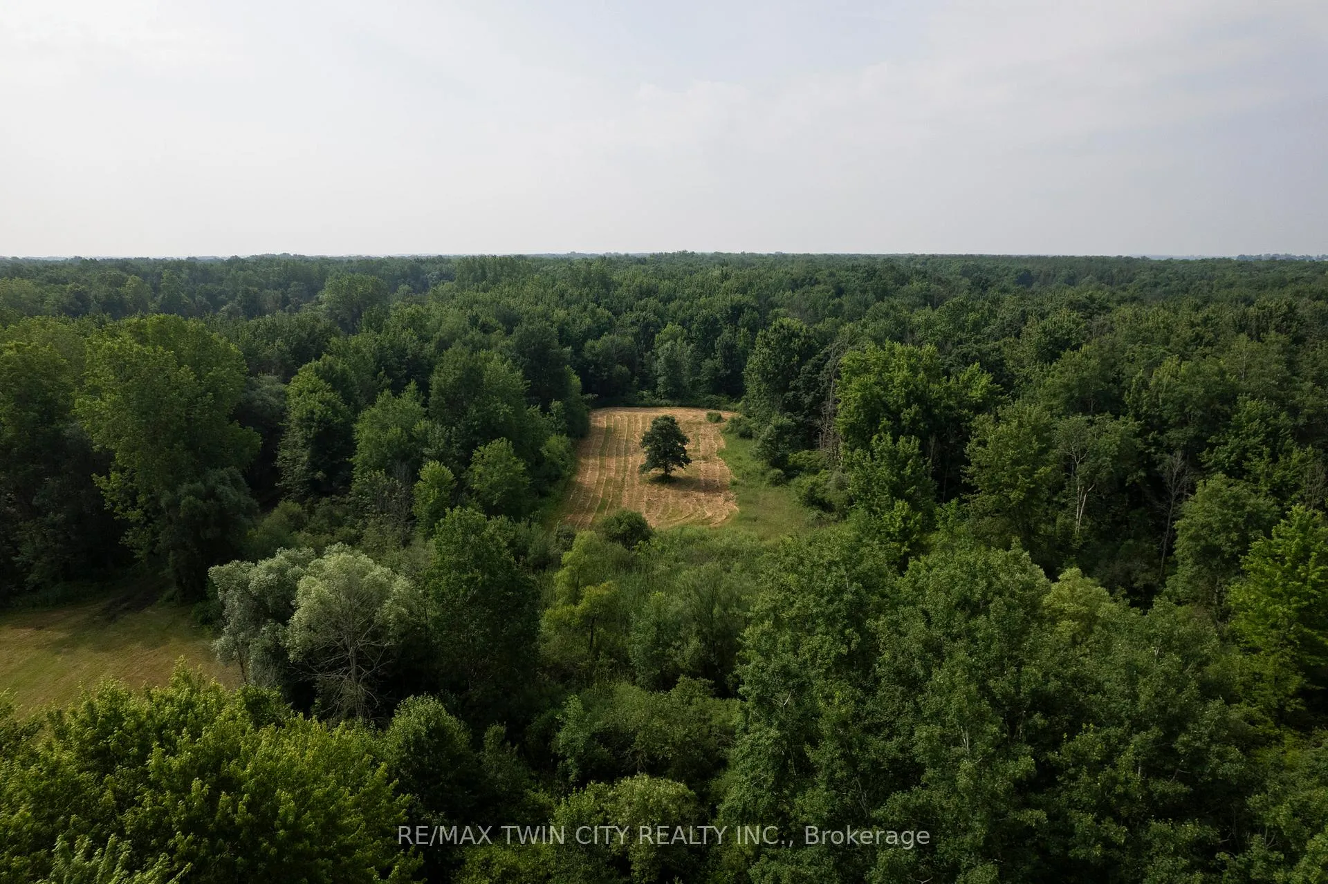 Photo 8 of 41 Seventh Concession Road, Brant, Burford — HOMEH