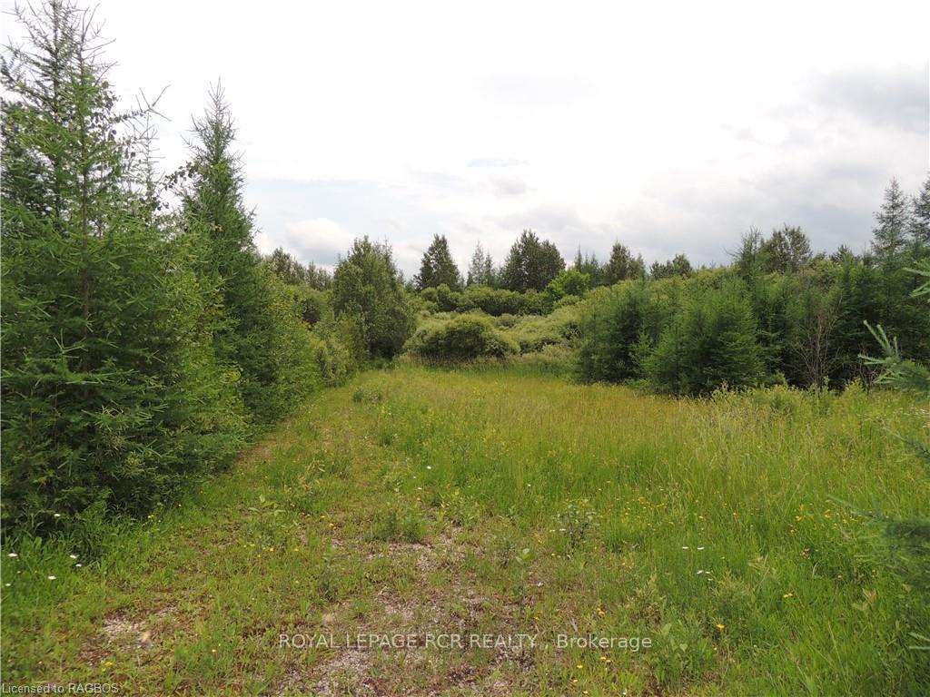 Photo 5 of 620420 Robson Road, Chatsworth — HOMEH