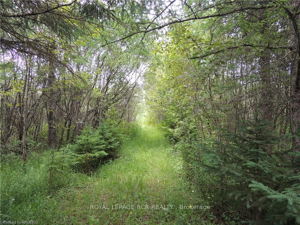 Photo 6 of 620420 Robson Road, Chatsworth — HOMEH