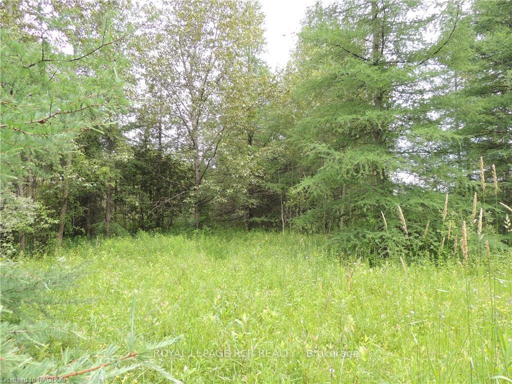 Photo 7 of 620420 Robson Road, Chatsworth — HOMEH
