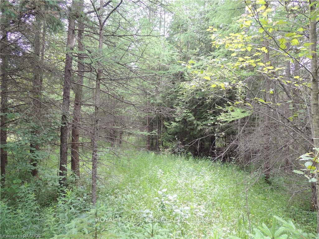 Photo 8 of 620420 Robson Road, Chatsworth — HOMEH