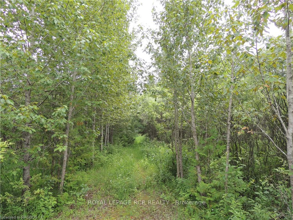 Photo 9 of 620420 Robson Road, Chatsworth — HOMEH