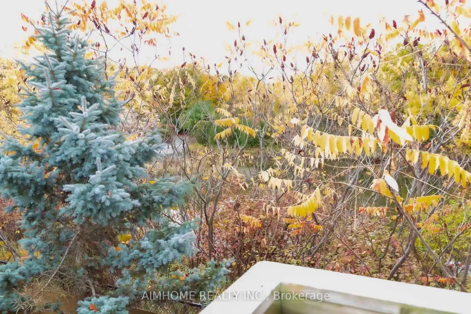 Photo 22 of 19 Durango Drive, Richmond Hill, Westbrook — HOMEH