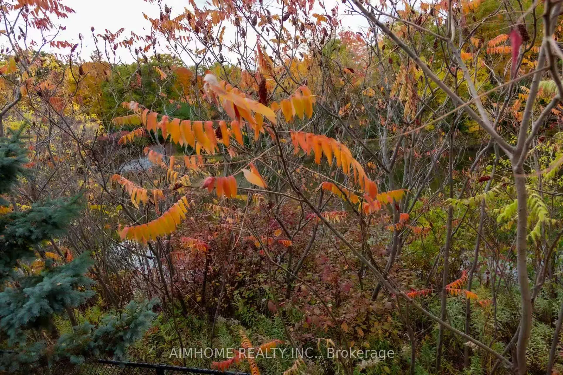 Photo 23 of 19 Durango Drive, Richmond Hill, Westbrook — HOMEH